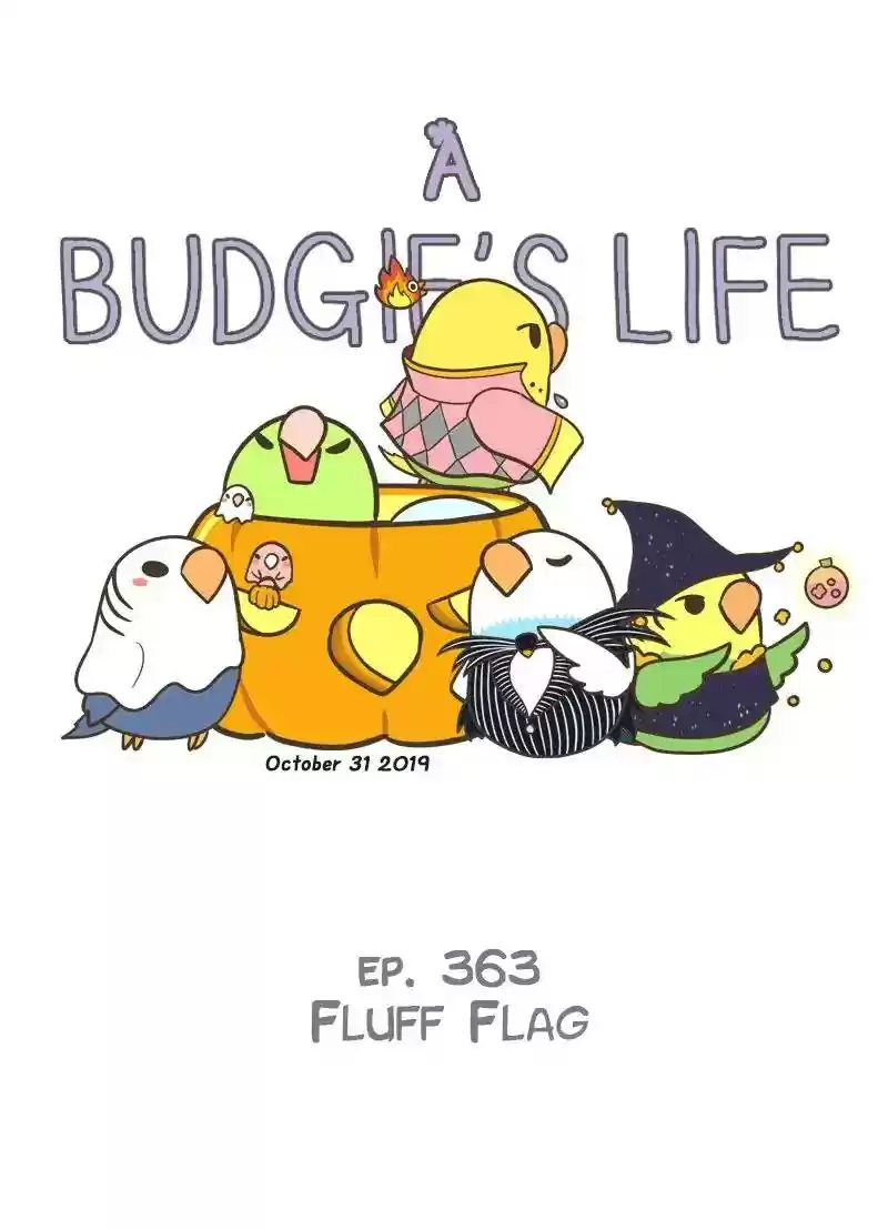 A Budgie's Life Chapter 363: Ep.361: