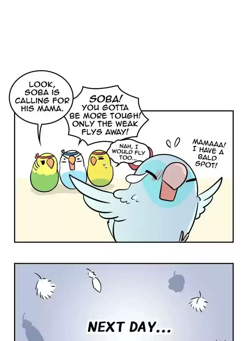 A Budgie's Life Chapter 363: Ep.361: