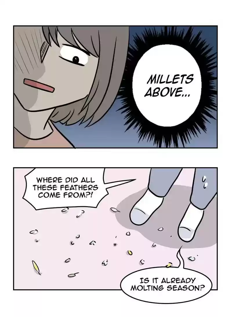 A Budgie's Life Chapter 364: Ep.362: