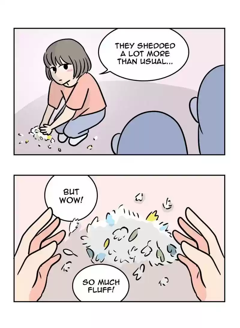 A Budgie's Life Chapter 364: Ep.362: