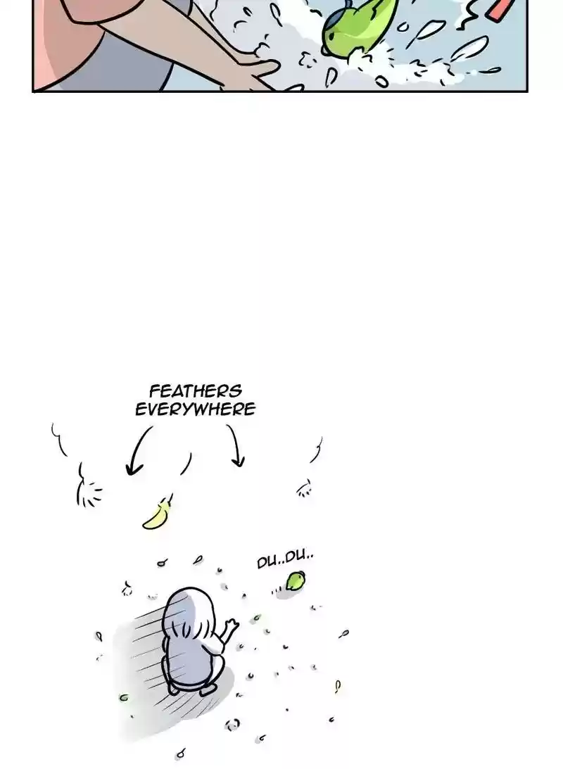 A Budgie's Life Chapter 364: Ep.362: