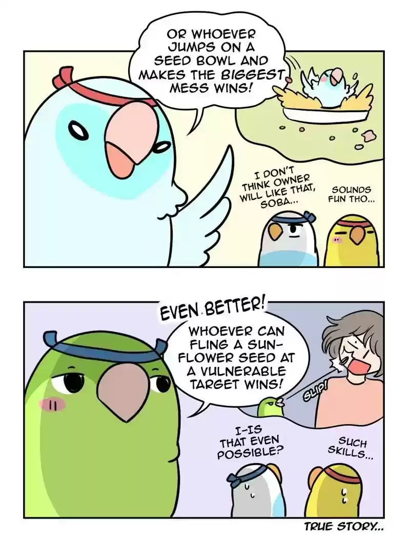 A Budgie's Life Chapter 365: Ep.363: