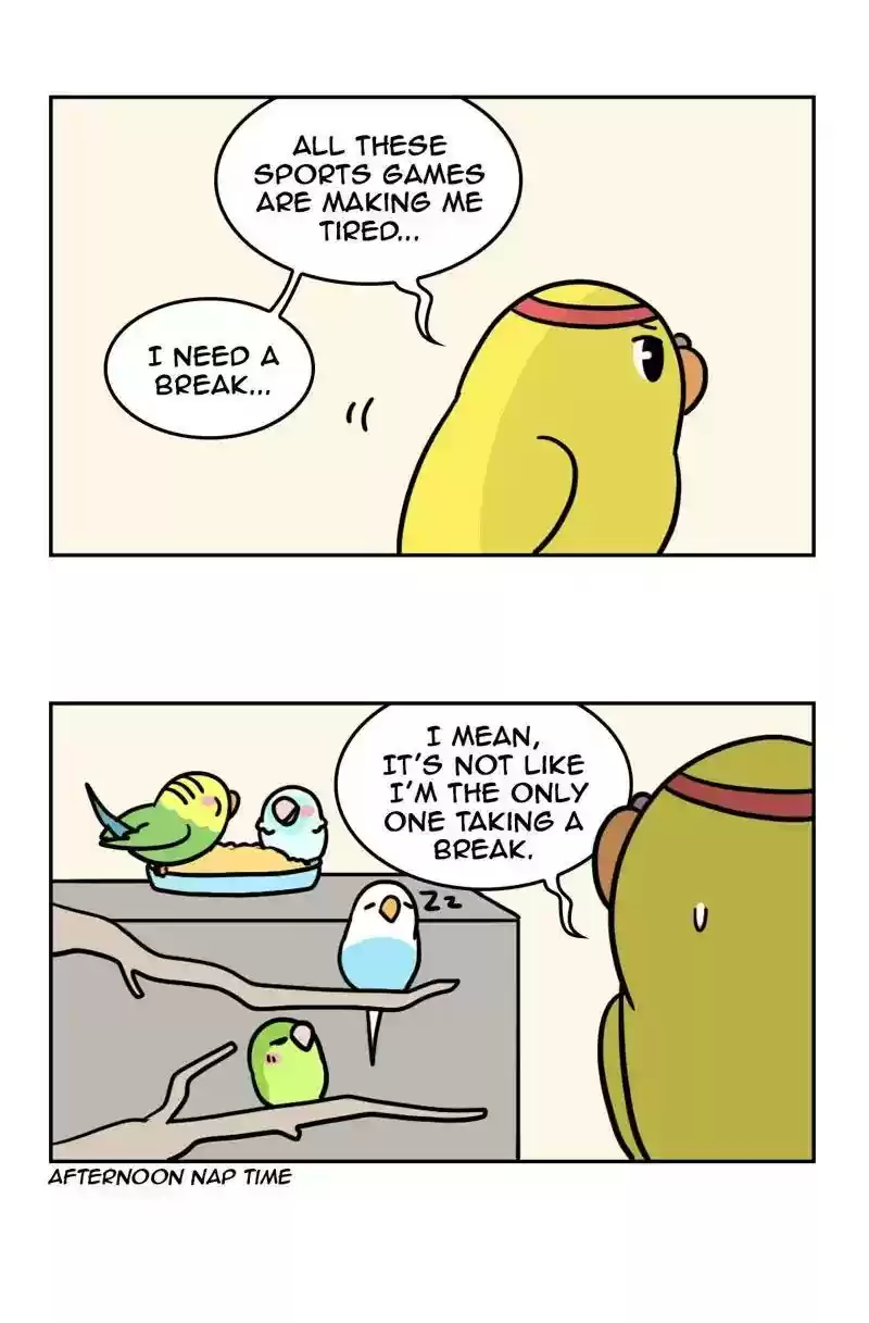 A Budgie's Life Chapter 366: Ep.364: