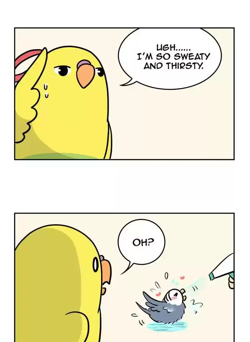 A Budgie's Life Chapter 366: Ep.364: