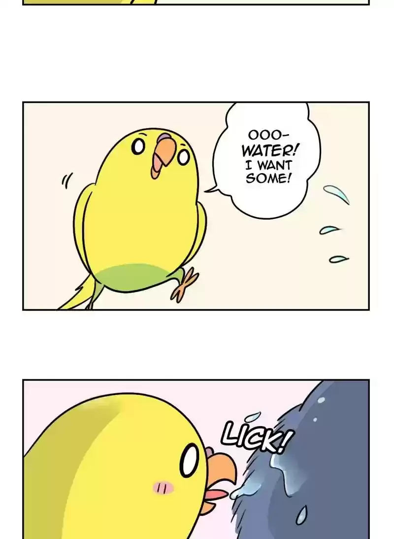 A Budgie's Life Chapter 366: Ep.364: