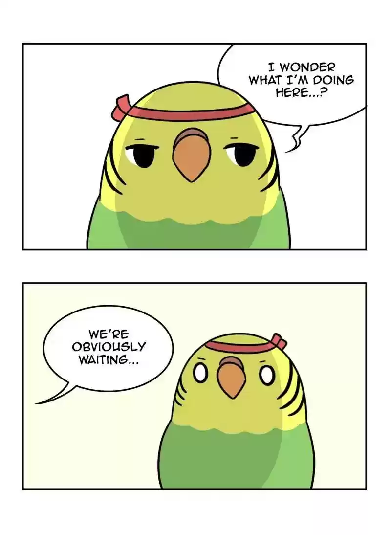 A Budgie's Life Chapter 367: Ep.365: