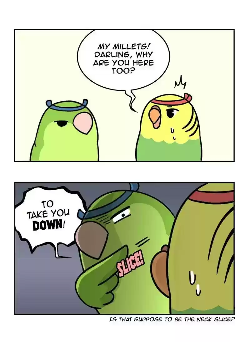 A Budgie's Life Chapter 367: Ep.365: