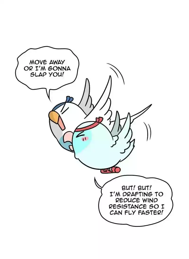 A Budgie's Life Chapter 367: Ep.365: