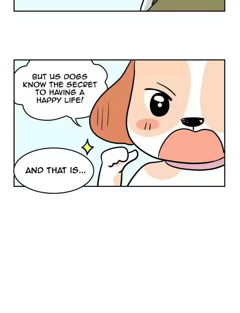 A Budgie's Life Chapter 369: Ep.367: