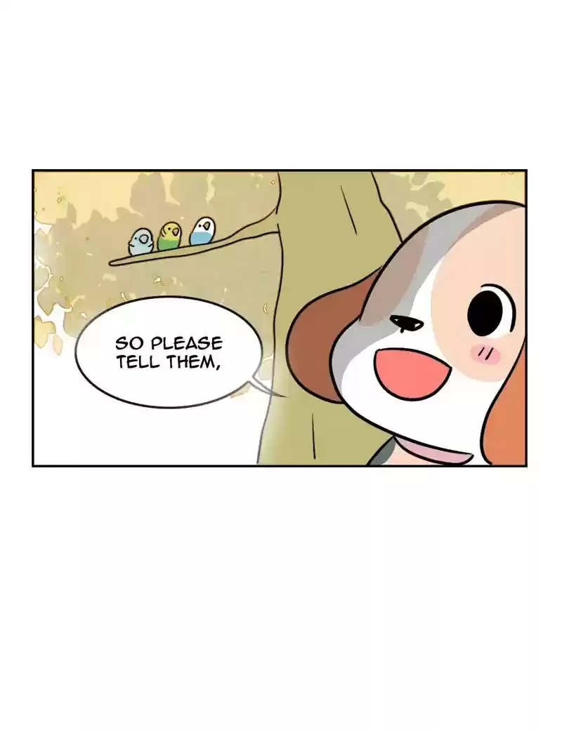 A Budgie's Life Chapter 369: Ep.367: