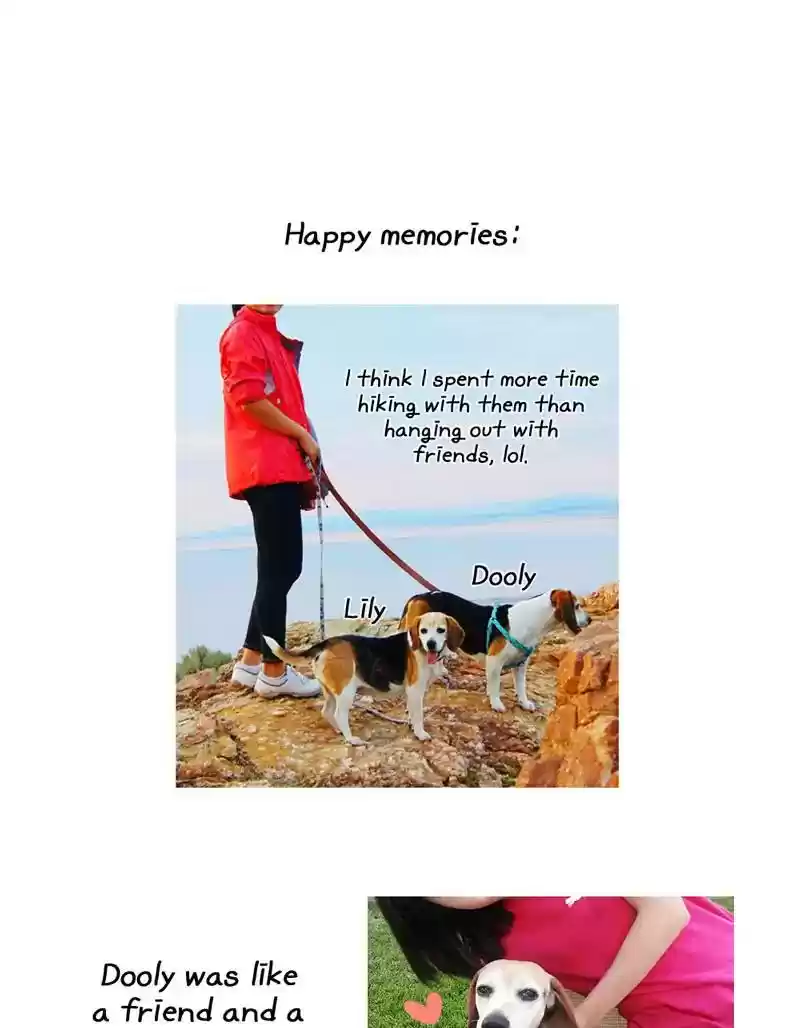 A Budgie's Life Chapter 369: Ep.367: