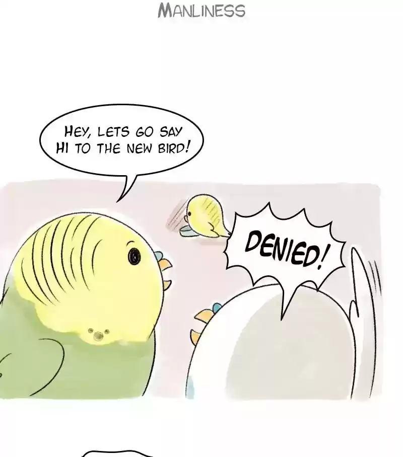 A Budgie's Life Chapter 37: Ep.37: