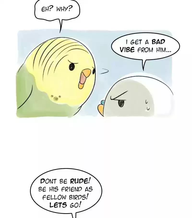 A Budgie's Life Chapter 37: Ep.37: