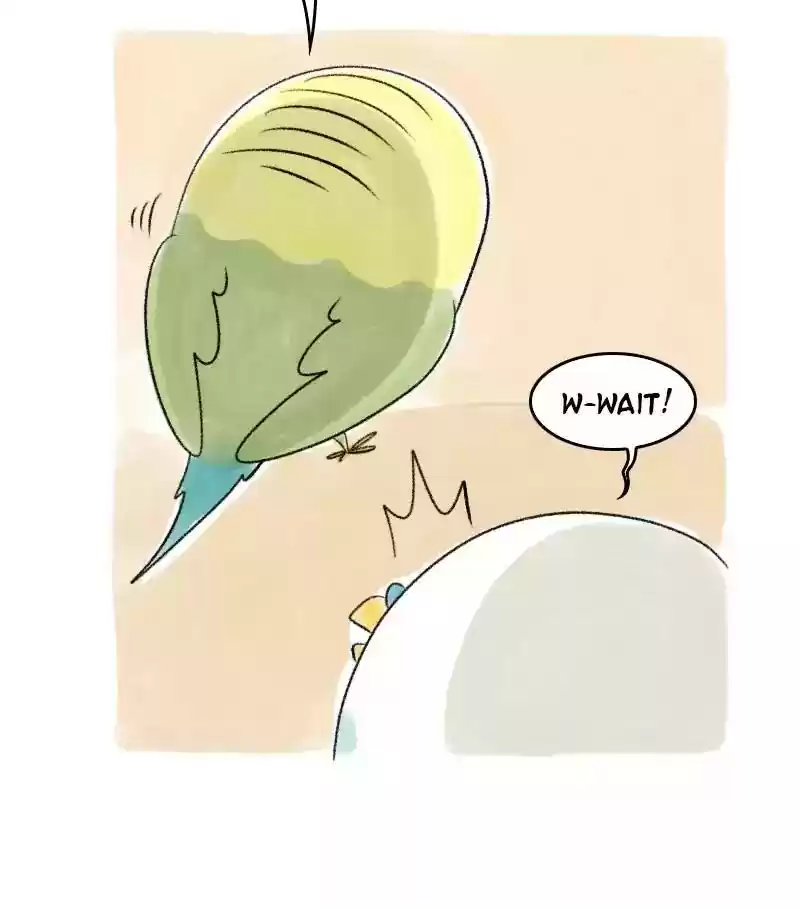 A Budgie's Life Chapter 37: Ep.37:
