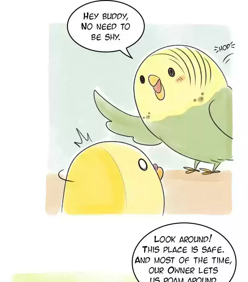 A Budgie's Life Chapter 37: Ep.37: