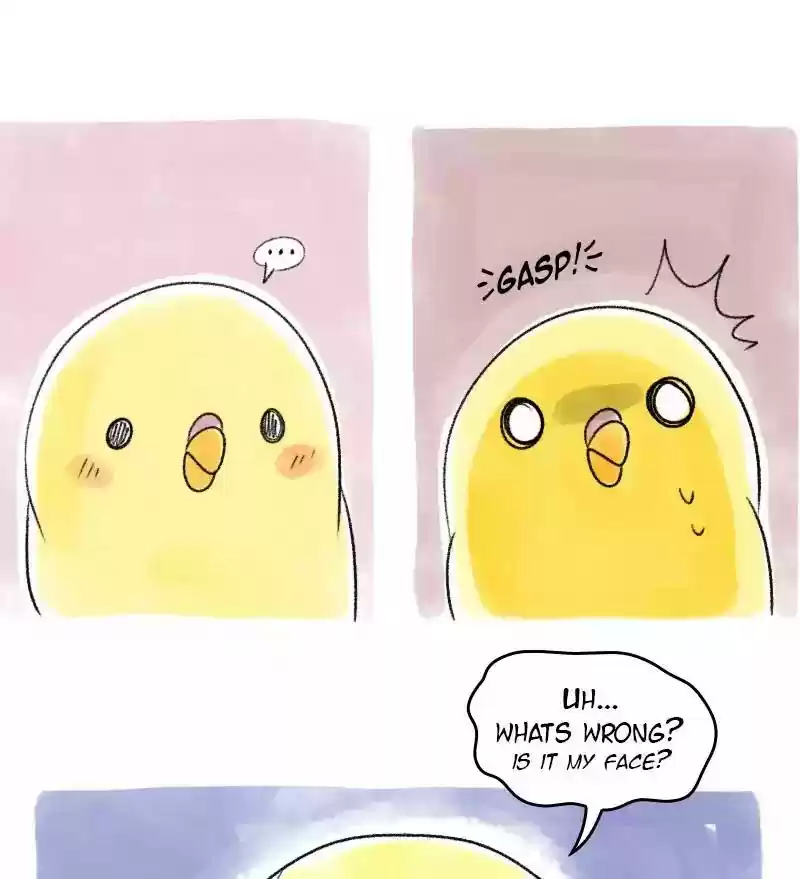 A Budgie's Life Chapter 37: Ep.37: