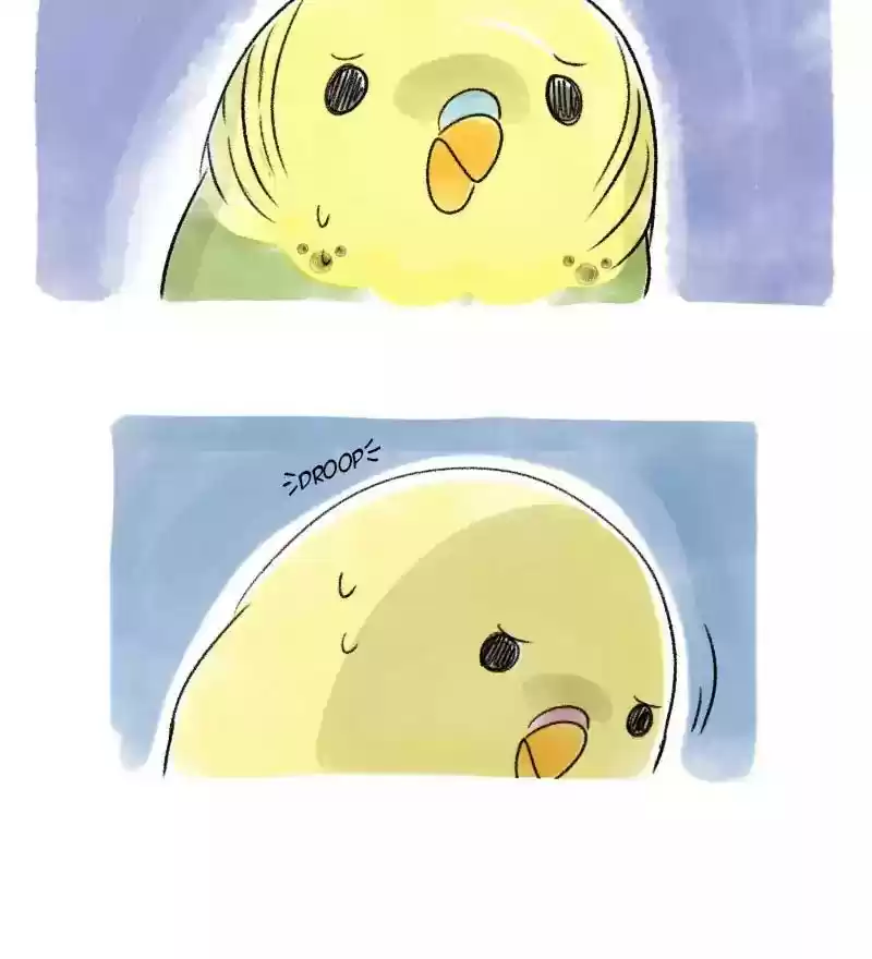 A Budgie's Life Chapter 37: Ep.37:
