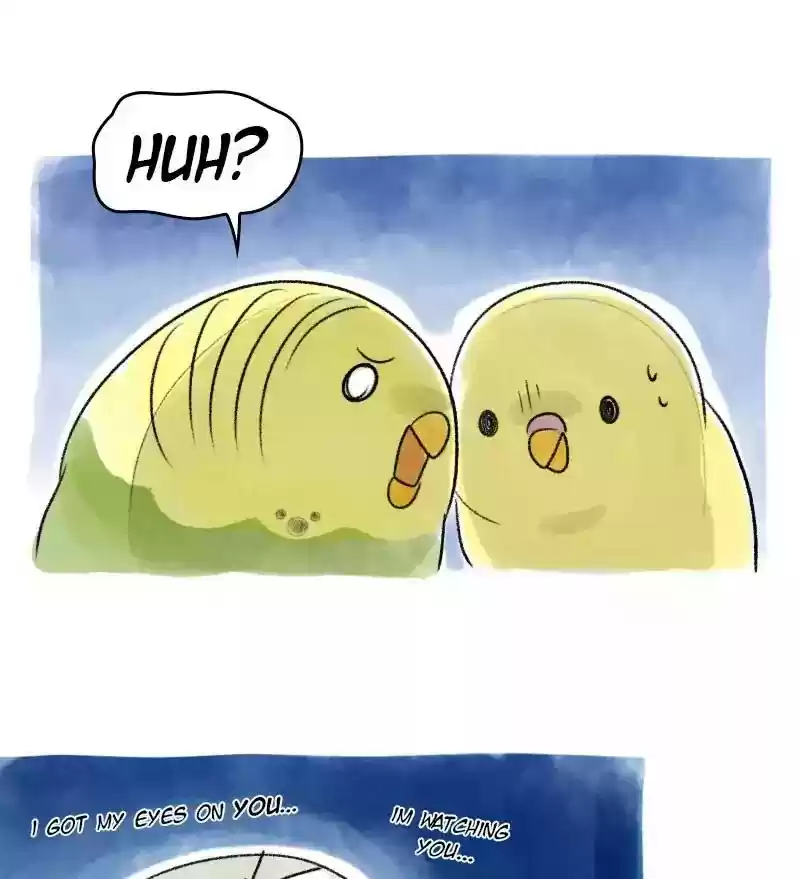 A Budgie's Life Chapter 37: Ep.37: