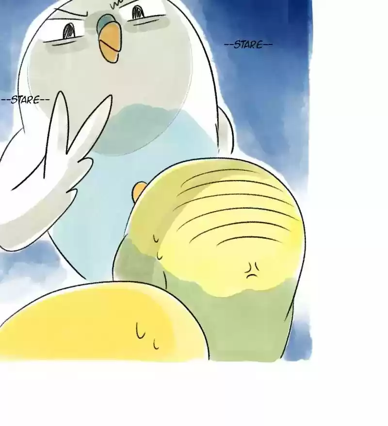 A Budgie's Life Chapter 37: Ep.37: