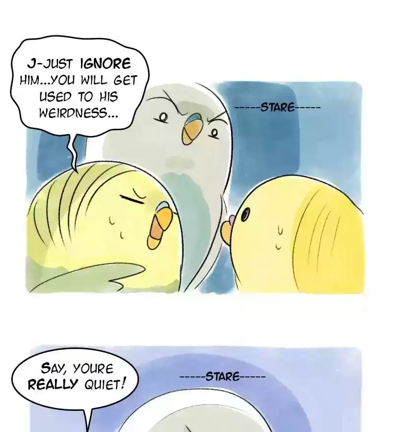 A Budgie's Life Chapter 37: Ep.37: