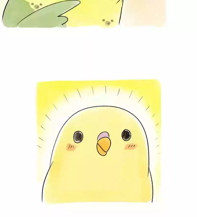A Budgie's Life Chapter 37: Ep.37: