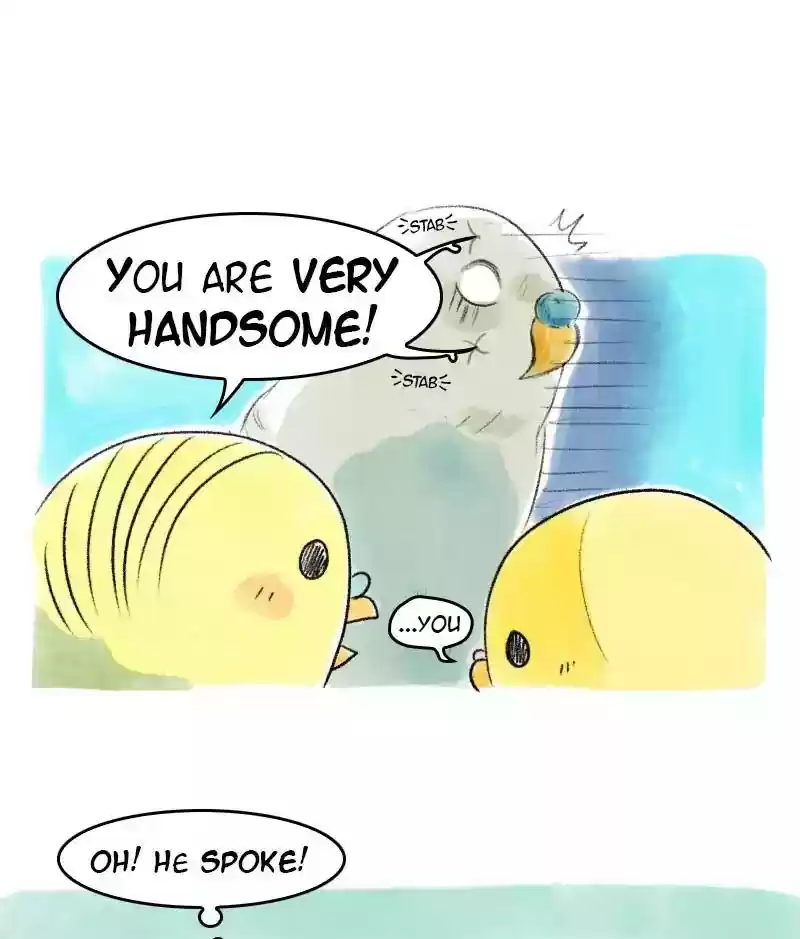 A Budgie's Life Chapter 37: Ep.37:
