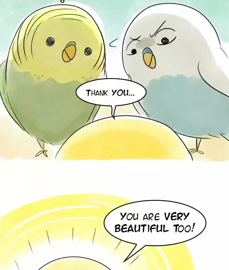 A Budgie's Life Chapter 37: Ep.37: