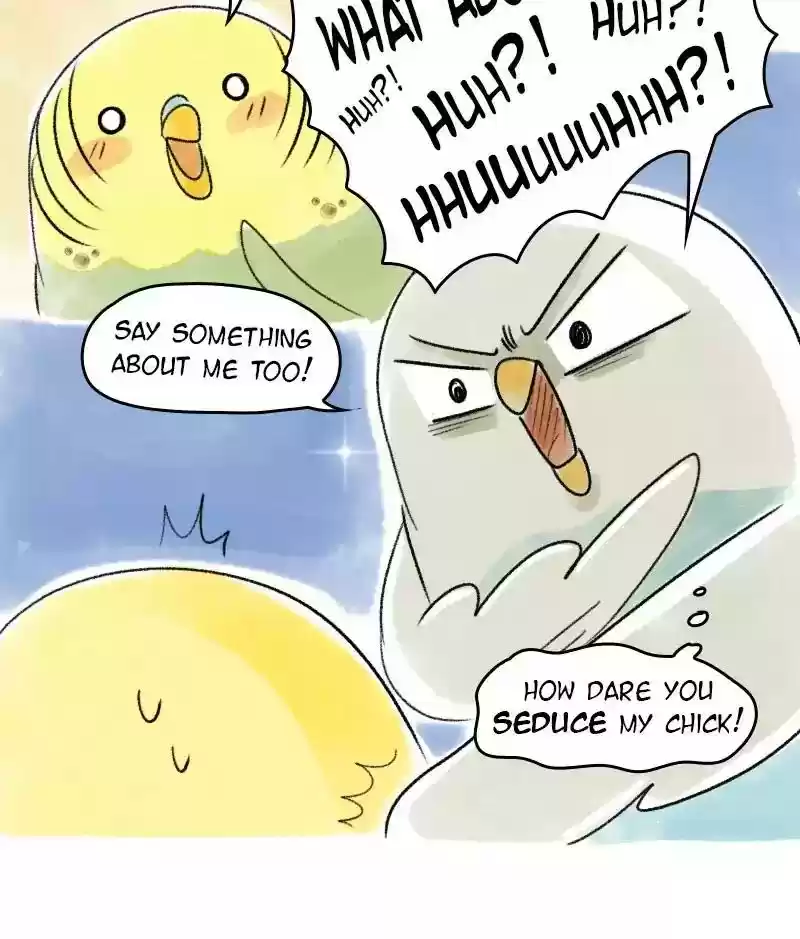 A Budgie's Life Chapter 37: Ep.37: