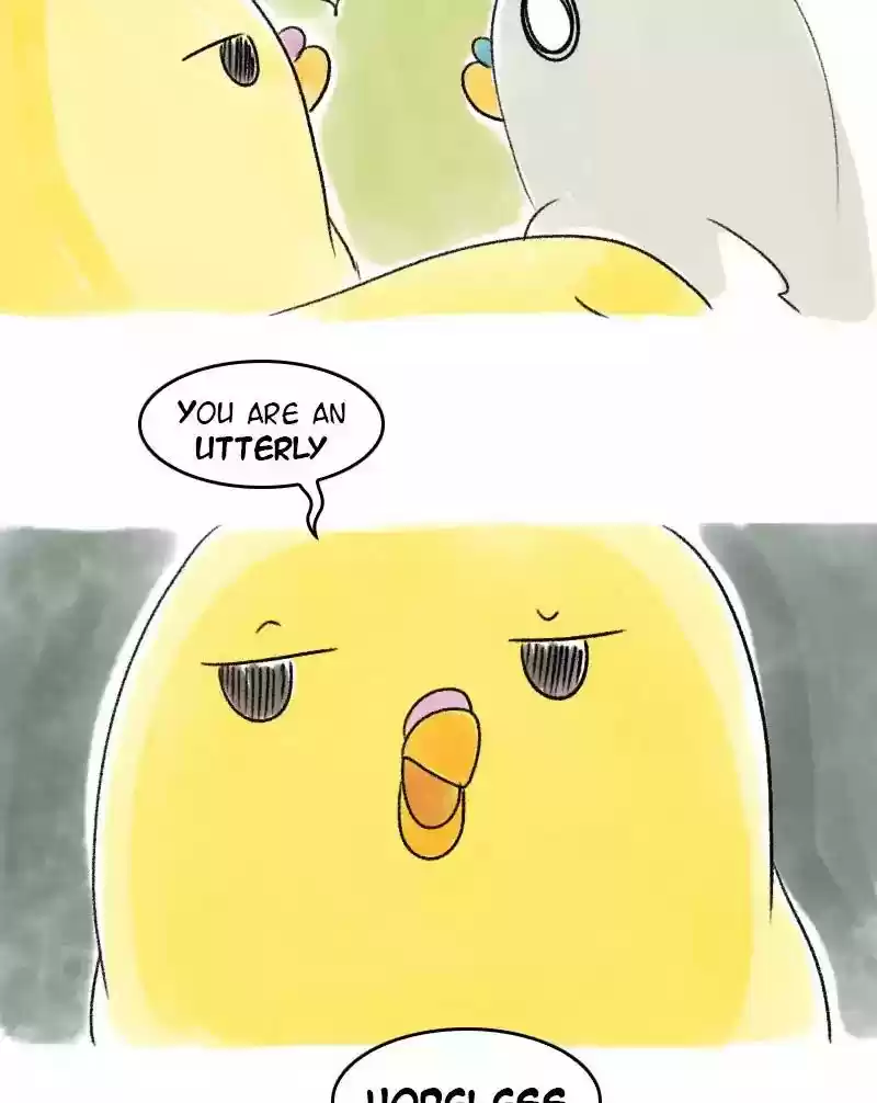 A Budgie's Life Chapter 37: Ep.37: