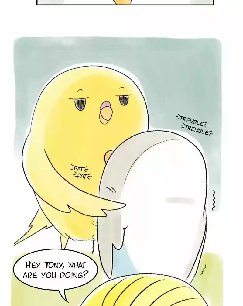 A Budgie's Life Chapter 37: Ep.37:
