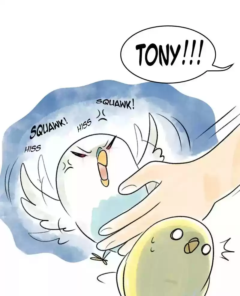 A Budgie's Life Chapter 37: Ep.37: