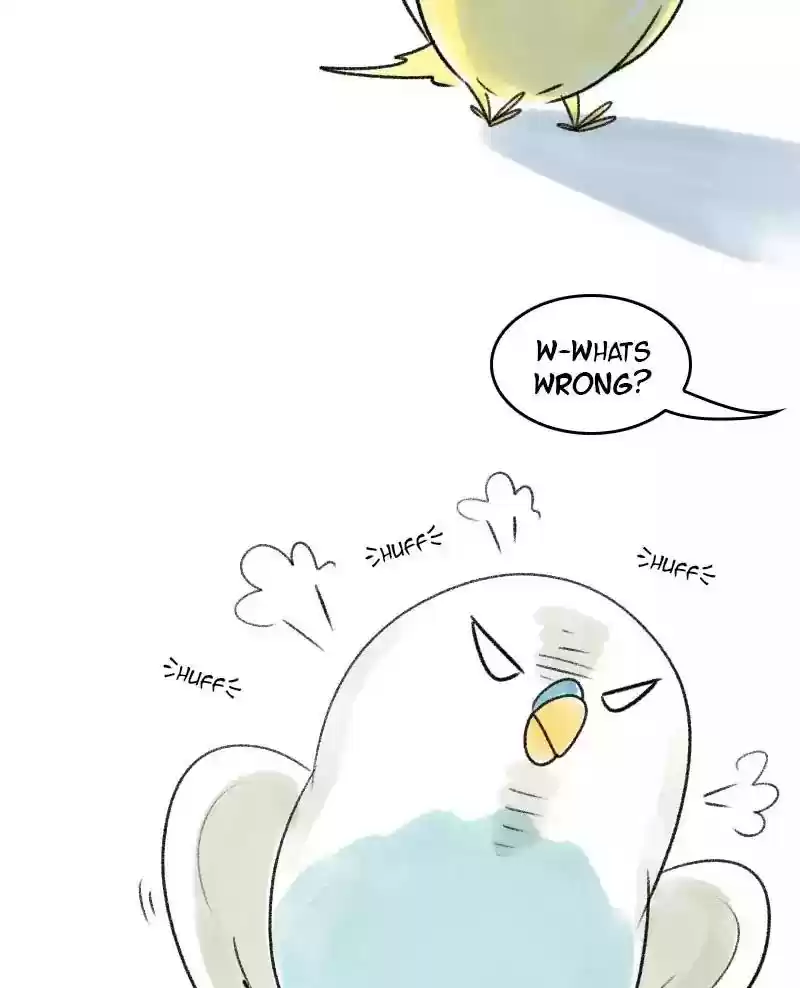 A Budgie's Life Chapter 37: Ep.37: