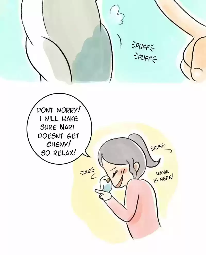 A Budgie's Life Chapter 37: Ep.37: