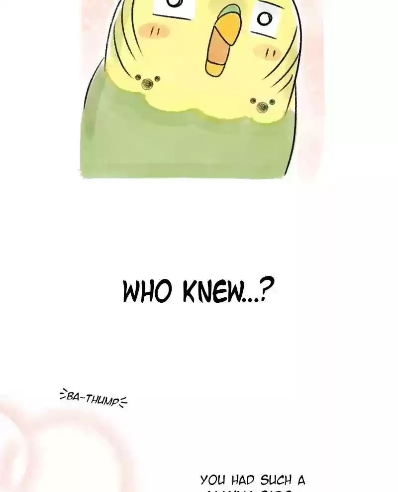 A Budgie's Life Chapter 37: Ep.37: