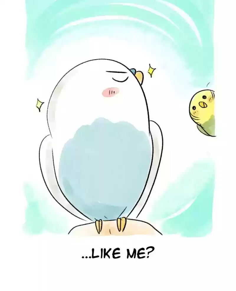 A Budgie's Life Chapter 37: Ep.37: