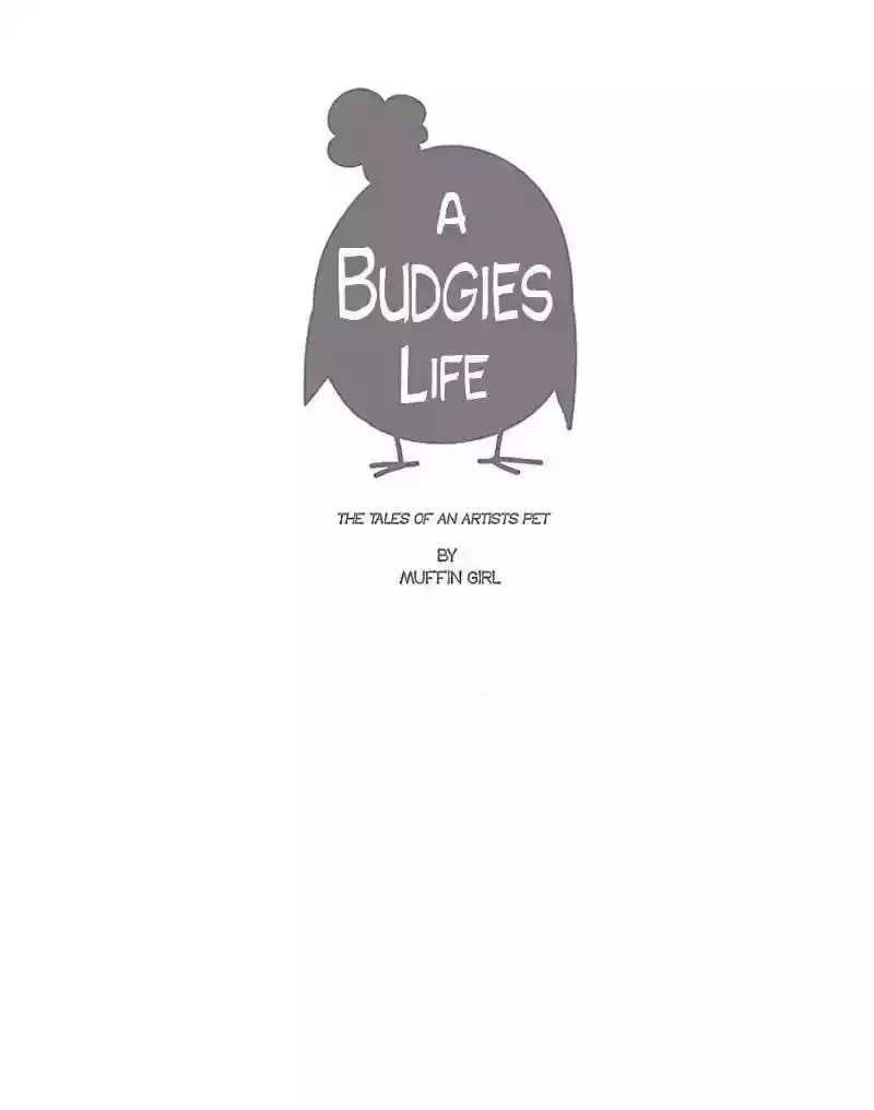 A Budgie's Life Chapter 37: Ep.37: