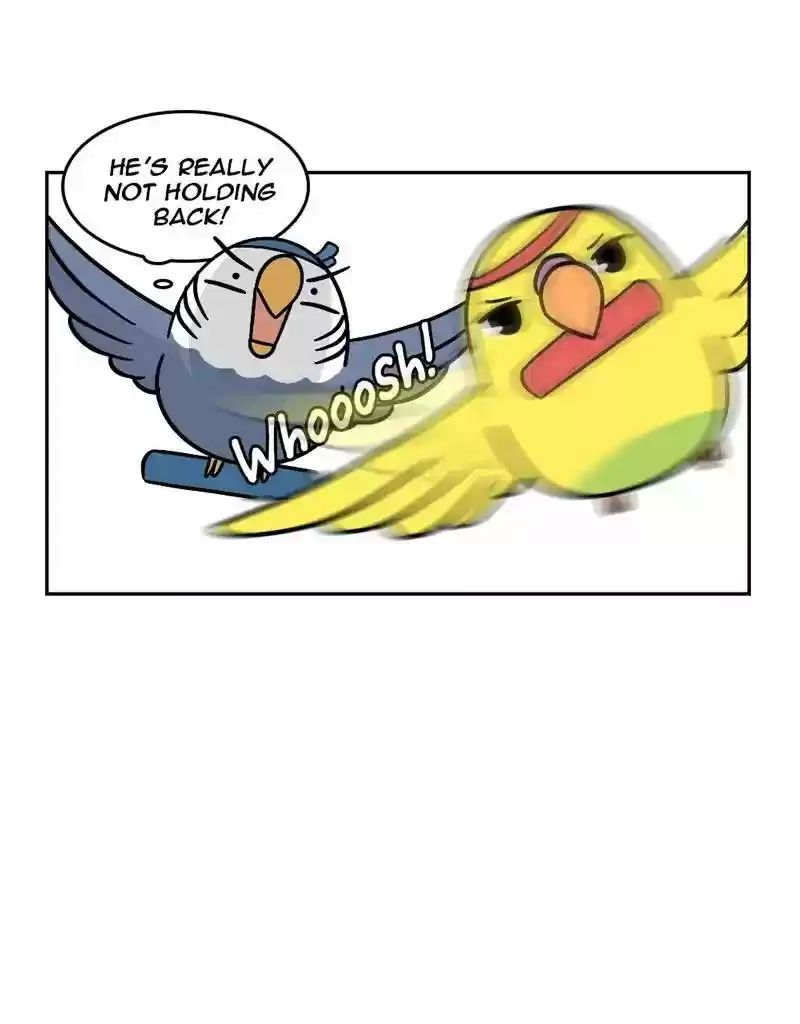 A Budgie's Life Chapter 370: Ep.368: