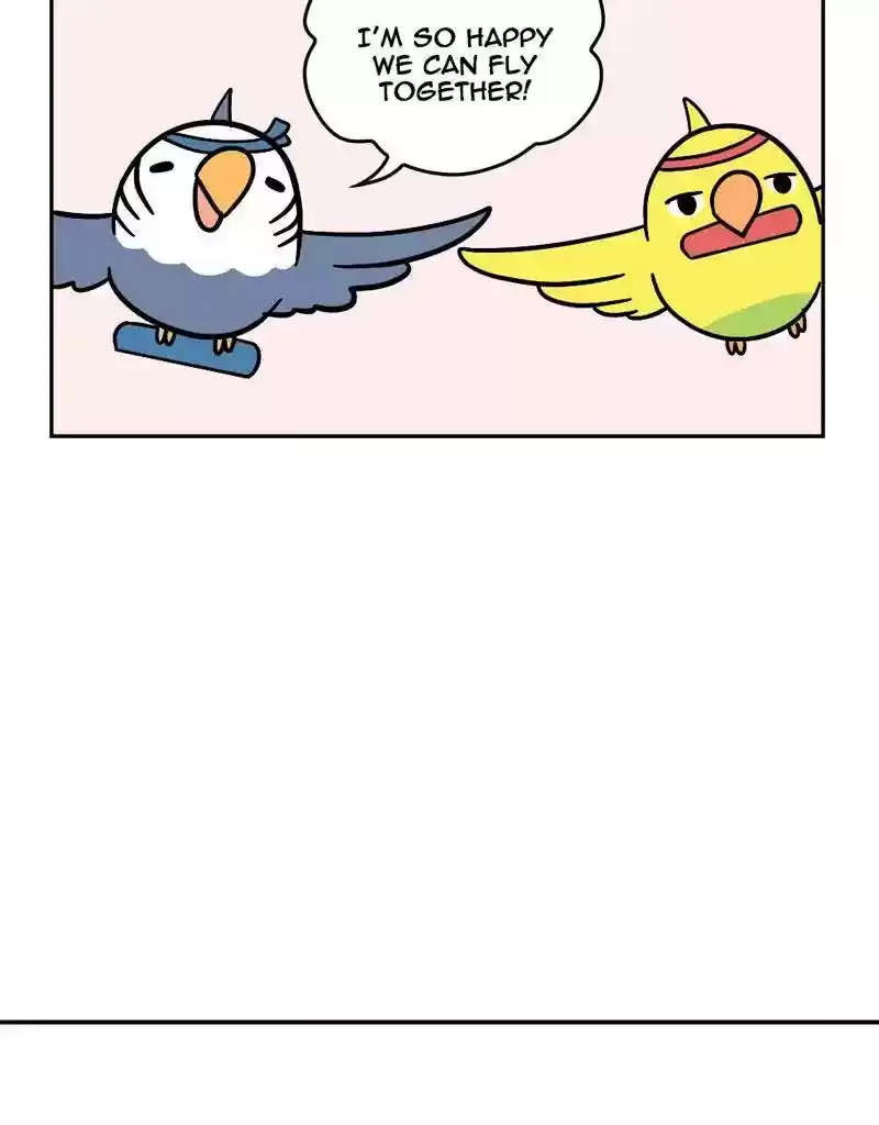 A Budgie's Life Chapter 370: Ep.368: