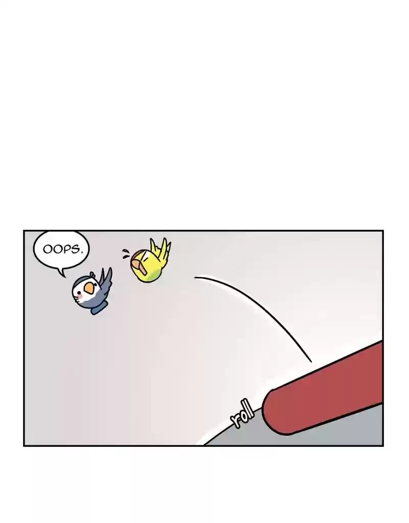 A Budgie's Life Chapter 370: Ep.368: