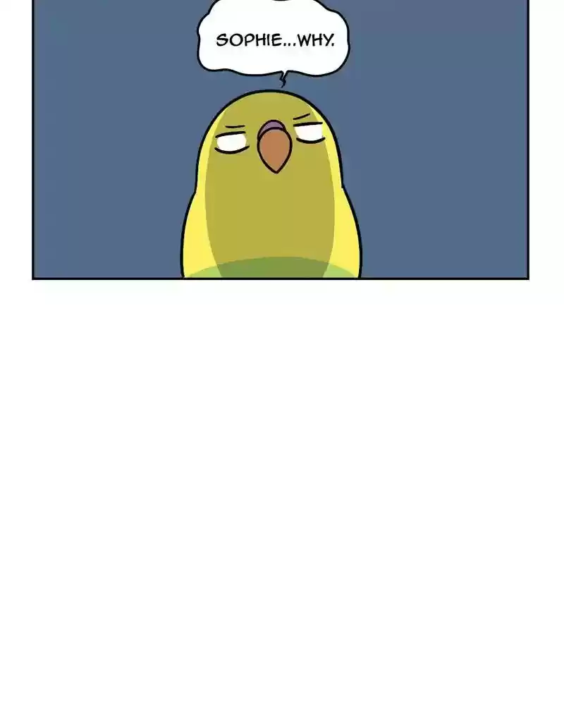 A Budgie's Life Chapter 370: Ep.368: