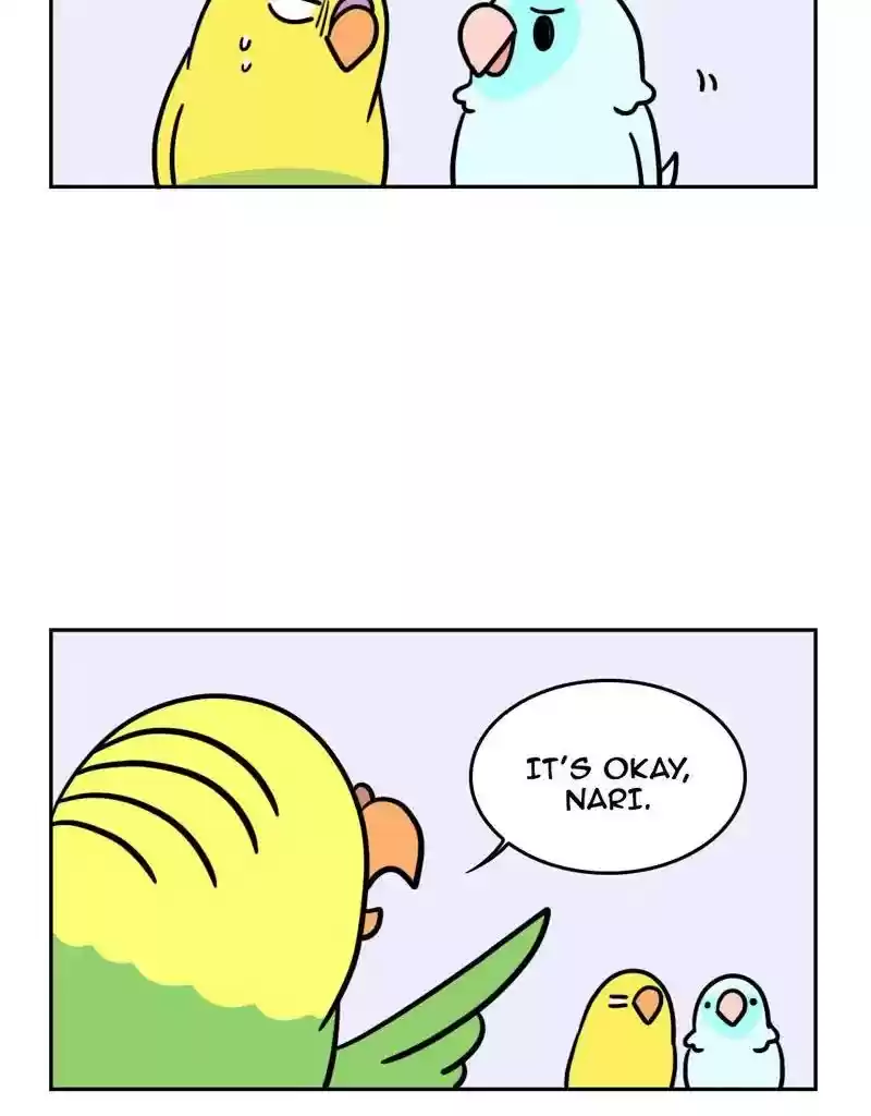 A Budgie's Life Chapter 371: Ep.369: