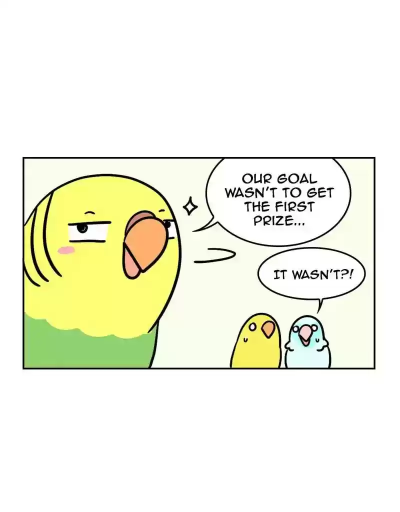 A Budgie's Life Chapter 371: Ep.369: