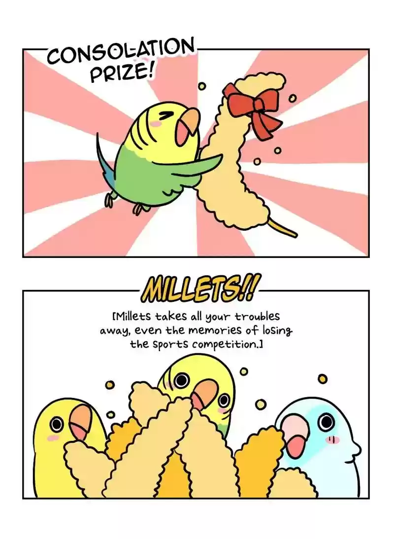 A Budgie's Life Chapter 371: Ep.369: