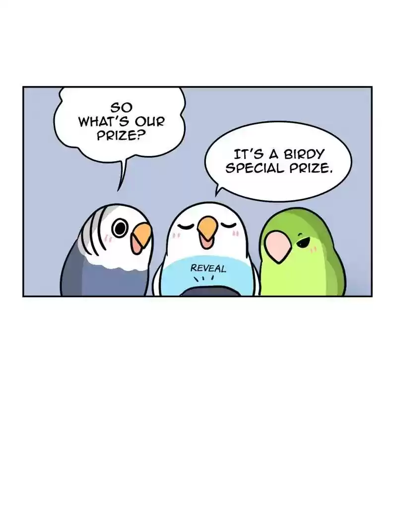 A Budgie's Life Chapter 371: Ep.369: