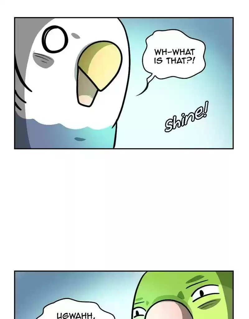 A Budgie's Life Chapter 371: Ep.369: