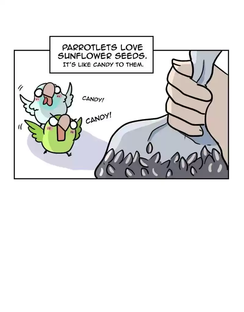 A Budgie's Life Chapter 372: Ep.370: