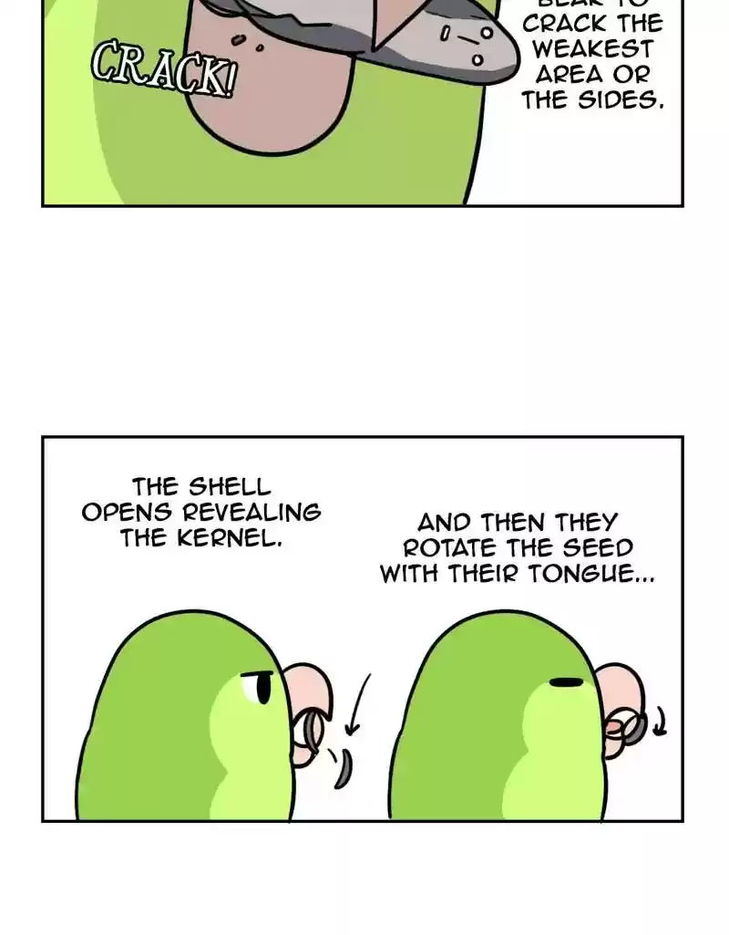 A Budgie's Life Chapter 372: Ep.370: