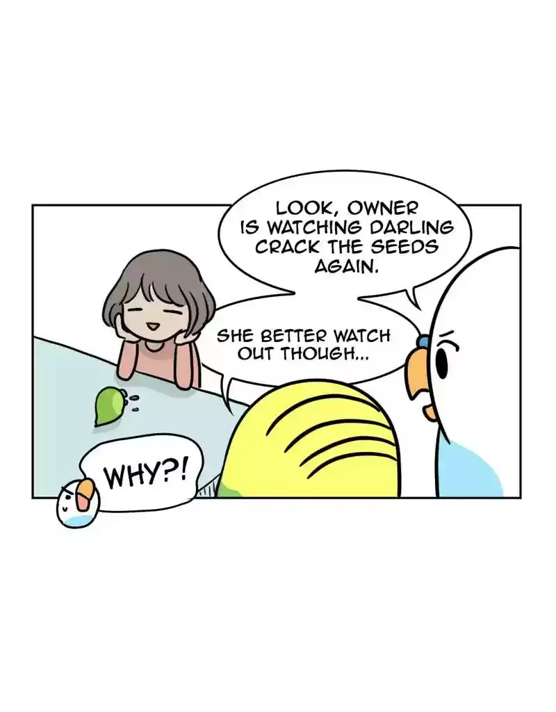 A Budgie's Life Chapter 372: Ep.370: