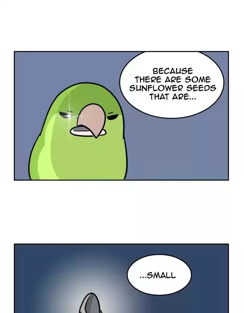 A Budgie's Life Chapter 372: Ep.370: