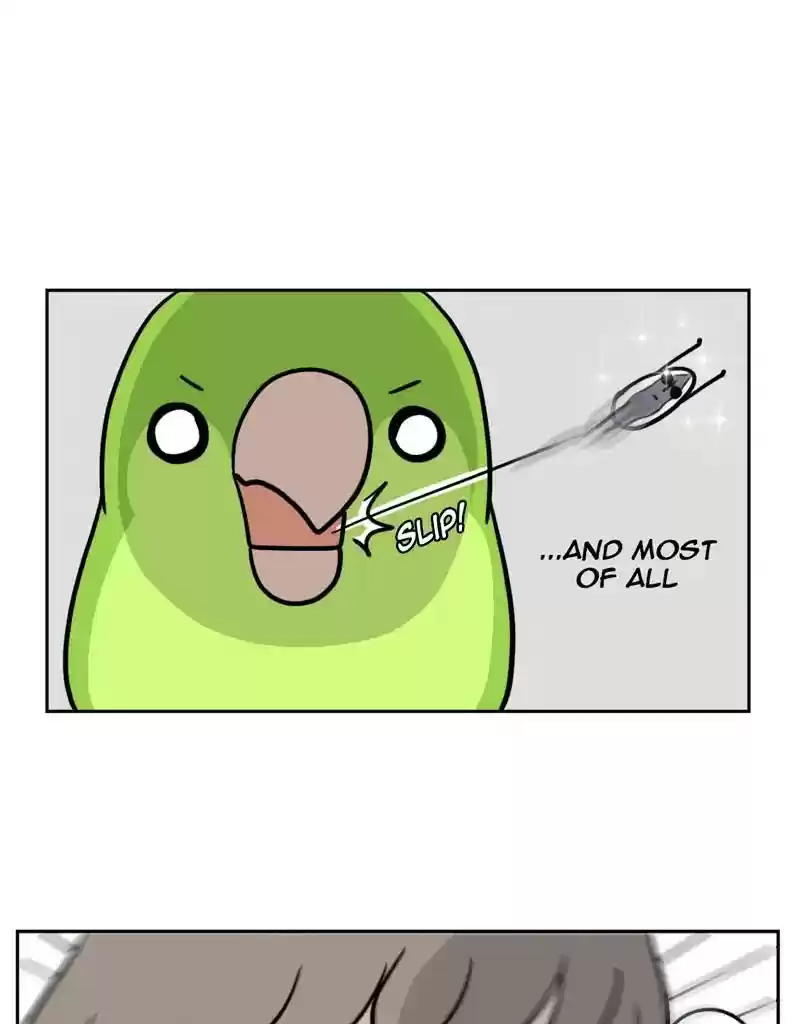 A Budgie's Life Chapter 372: Ep.370: